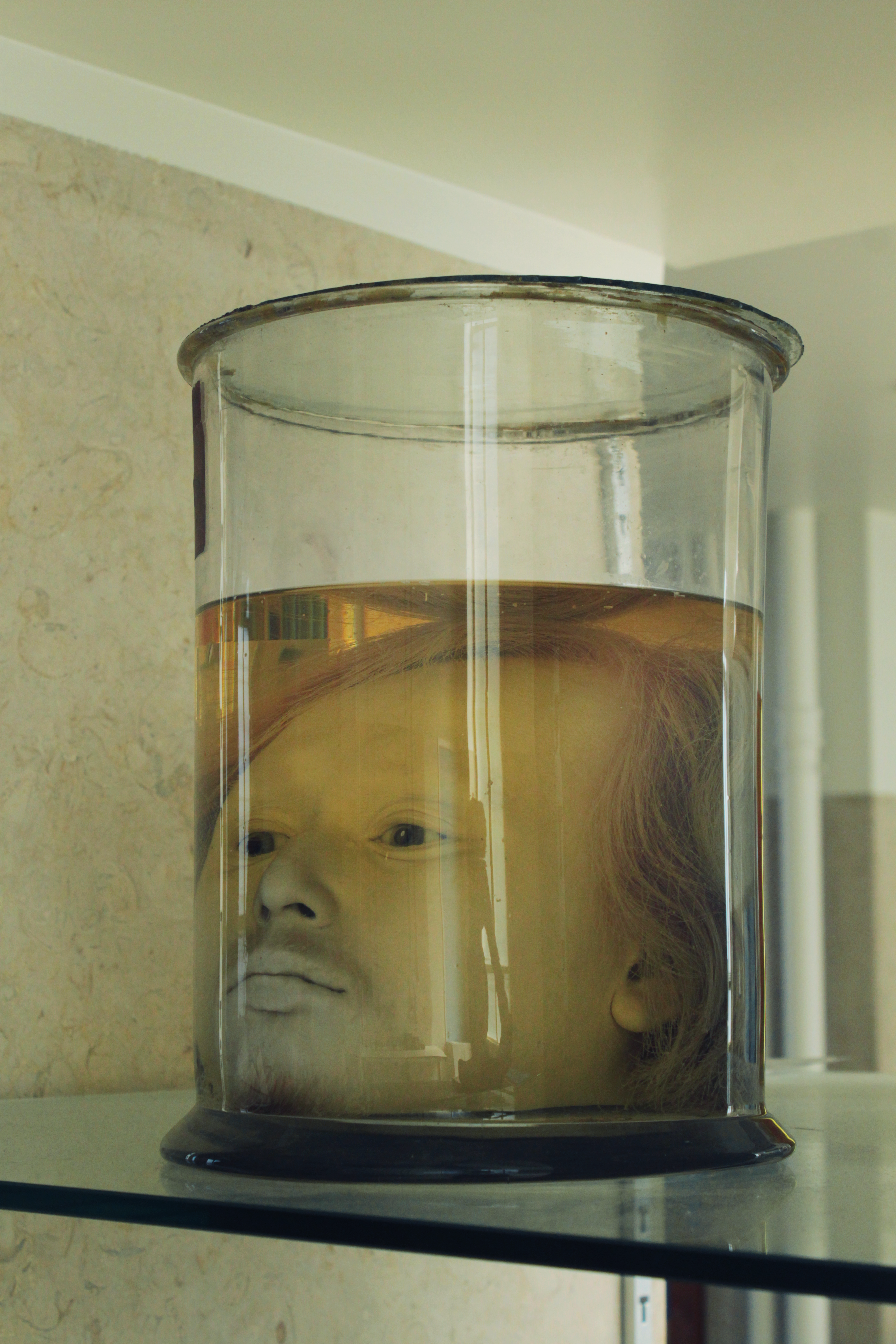 On the trail of Diogo Alves: Diogo Alves' preserved head in the faculty of medicine of the university of Lisbon.